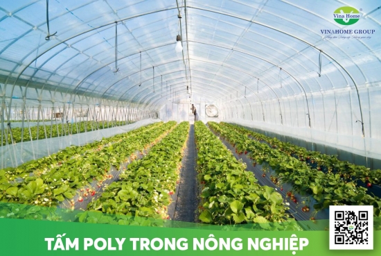 Khám phá những ứng dụng của tấm lợp lấy sáng trong nông nghiệp