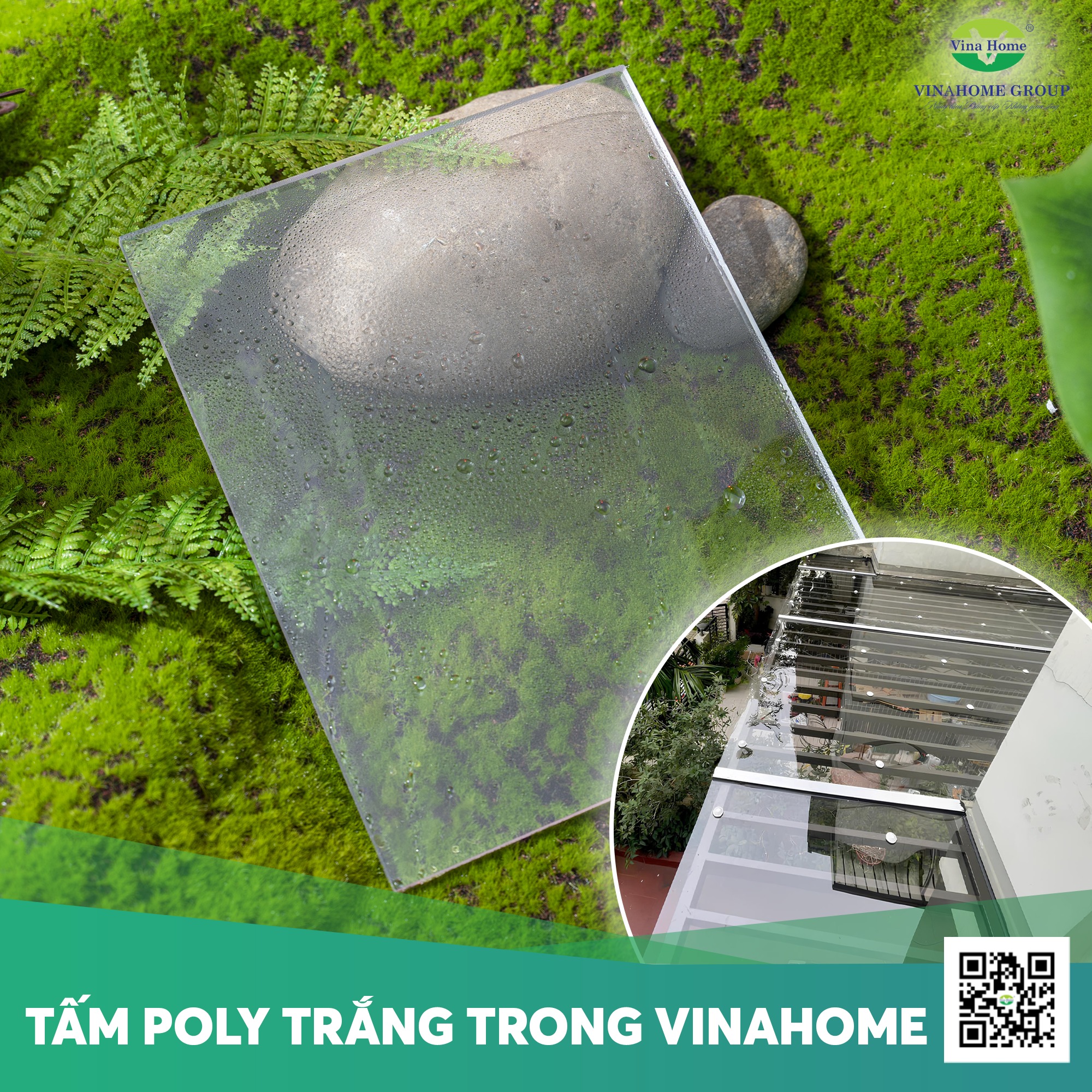 Tấm Poly trong suốt