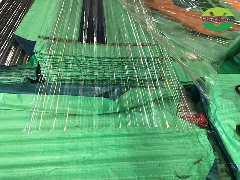 Tấm nhựa lấy sáng sóng